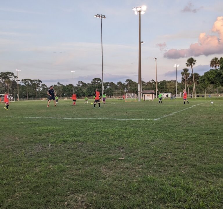 Soccer Field image 3