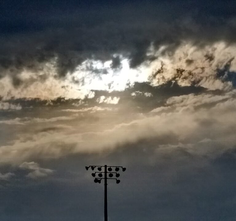 Soccer Field image 2