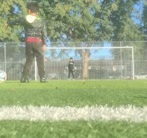 Soccer Field image 4