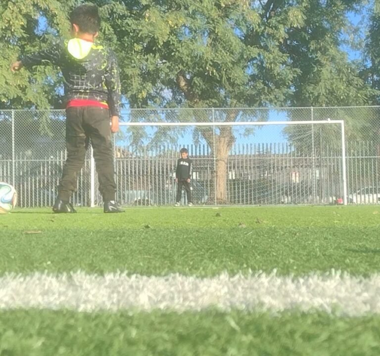 Soccer Field image 4