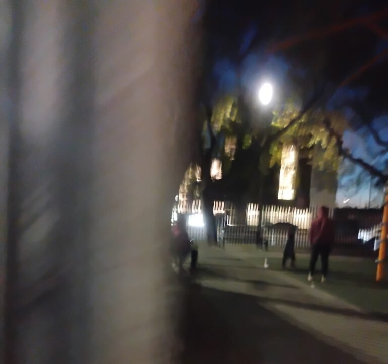 Soccer Field image 3