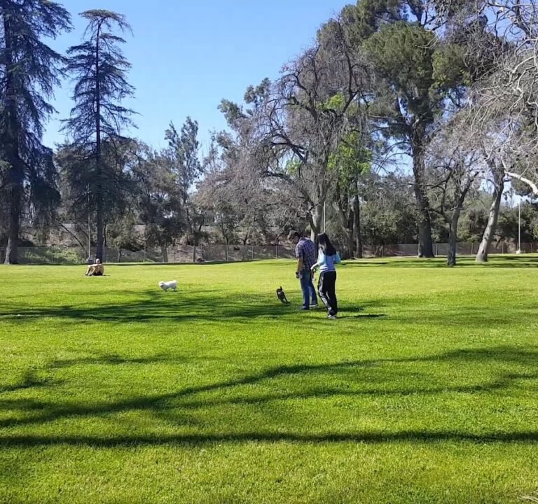 Soccer Field image 3