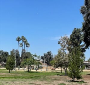 Soccer Field image 2