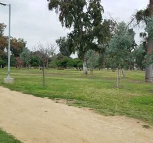 Soccer Field image 4