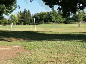 Soccer Field image 1
