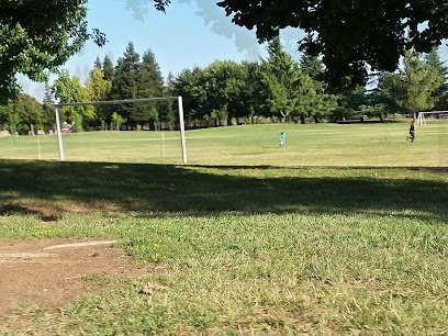 Soccer Field image 1