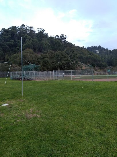 Soccer Field image 1