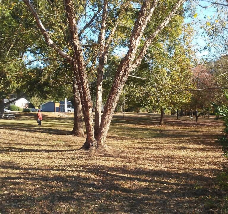 Soccer Field image 2