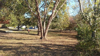 Soccer Field image 1