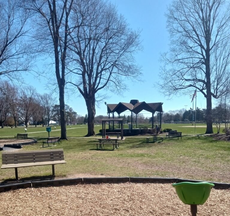 Soccer Field image 2