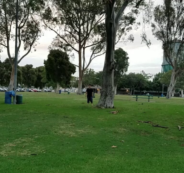 Soccer Field image 4