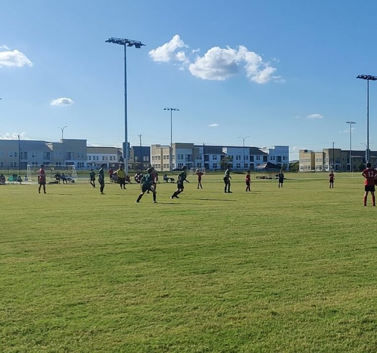 Soccer Field image 3