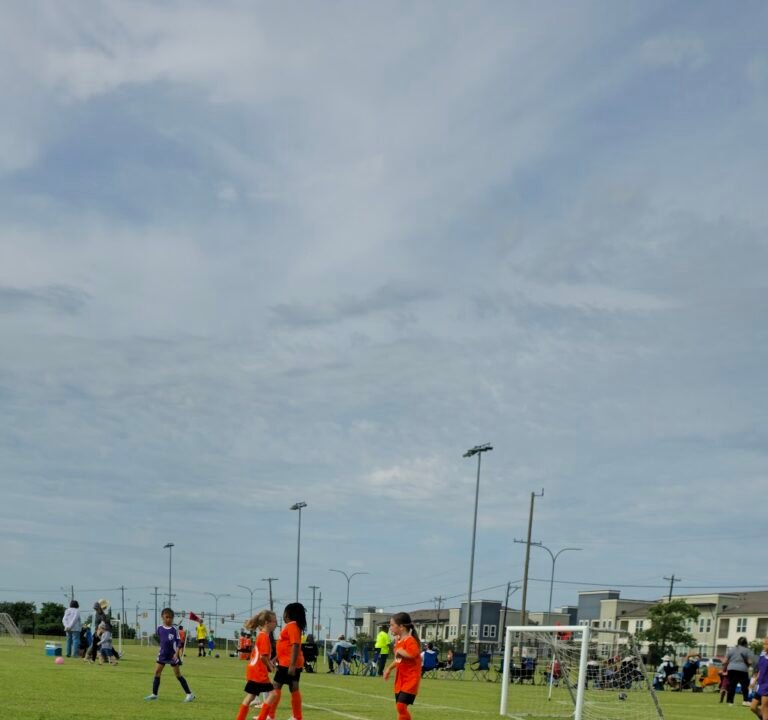 Soccer Field image 2