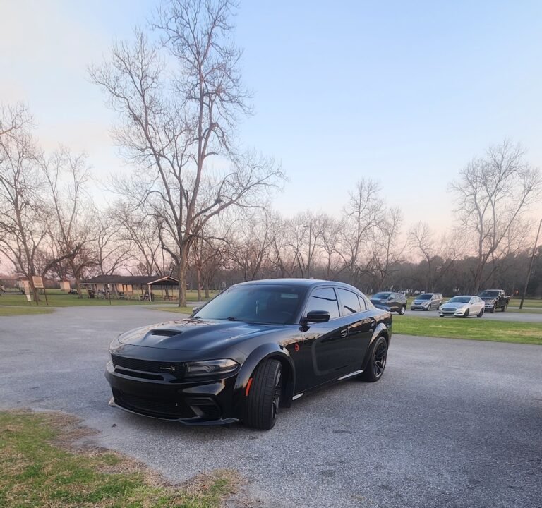 Soccer Field image 3