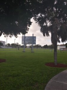 Soccer Field image 1