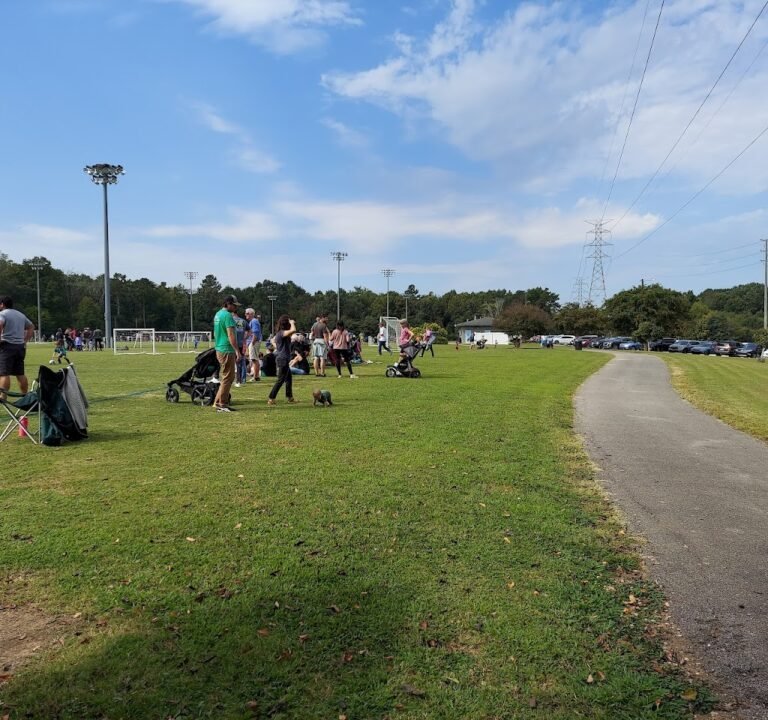 Soccer Field image 2