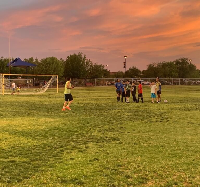Soccer Field image 2