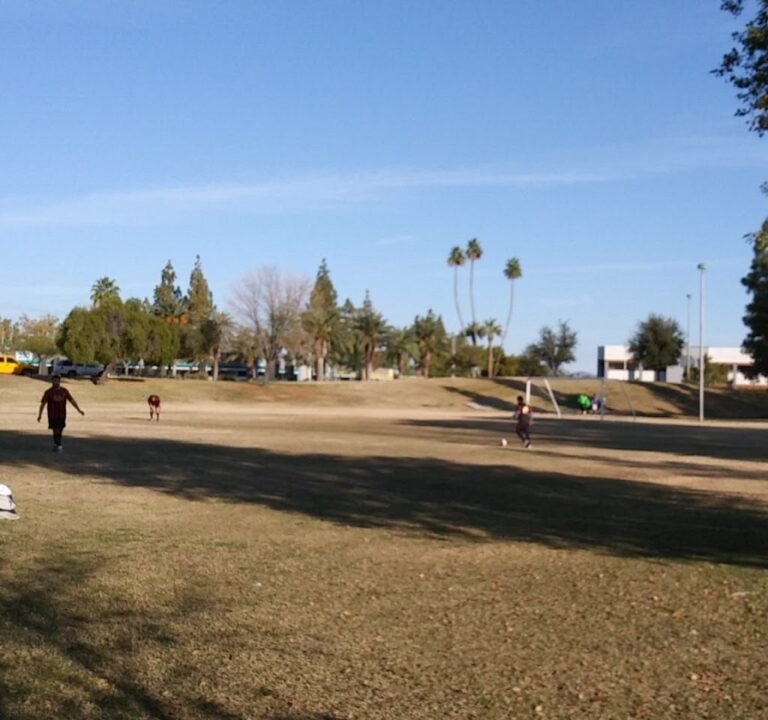 Soccer Field image 2