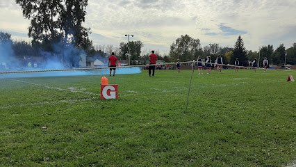 Soccer Field image 1