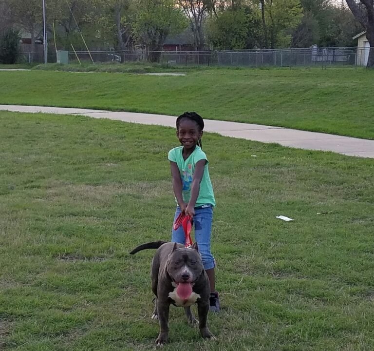 Soccer Field image 2