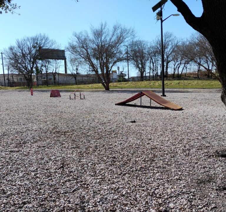 Soccer Field image 3