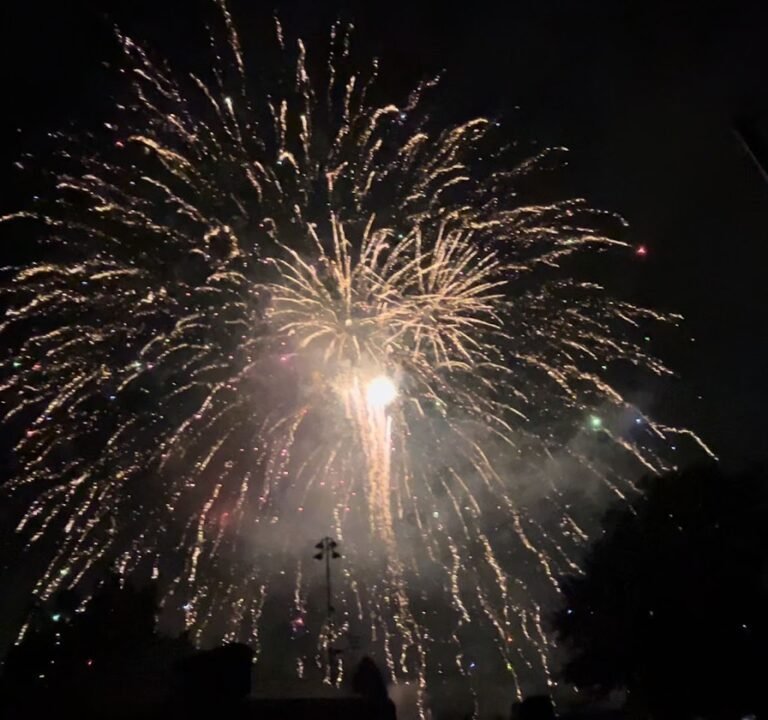 Soccer Field image 2