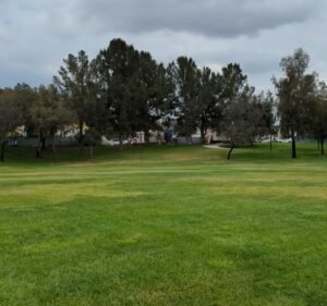 Soccer Field image 4