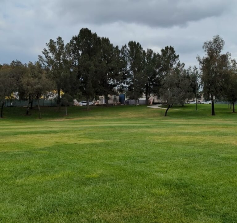 Soccer Field image 4