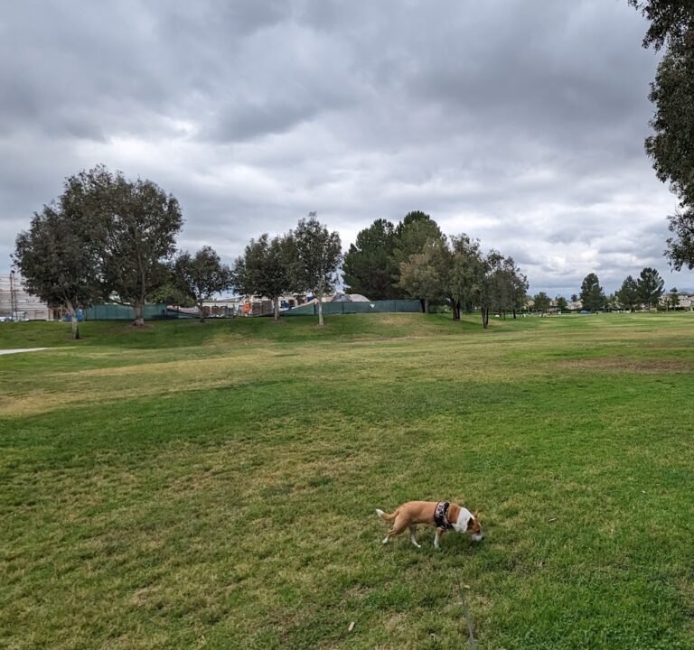 Soccer Field image 2
