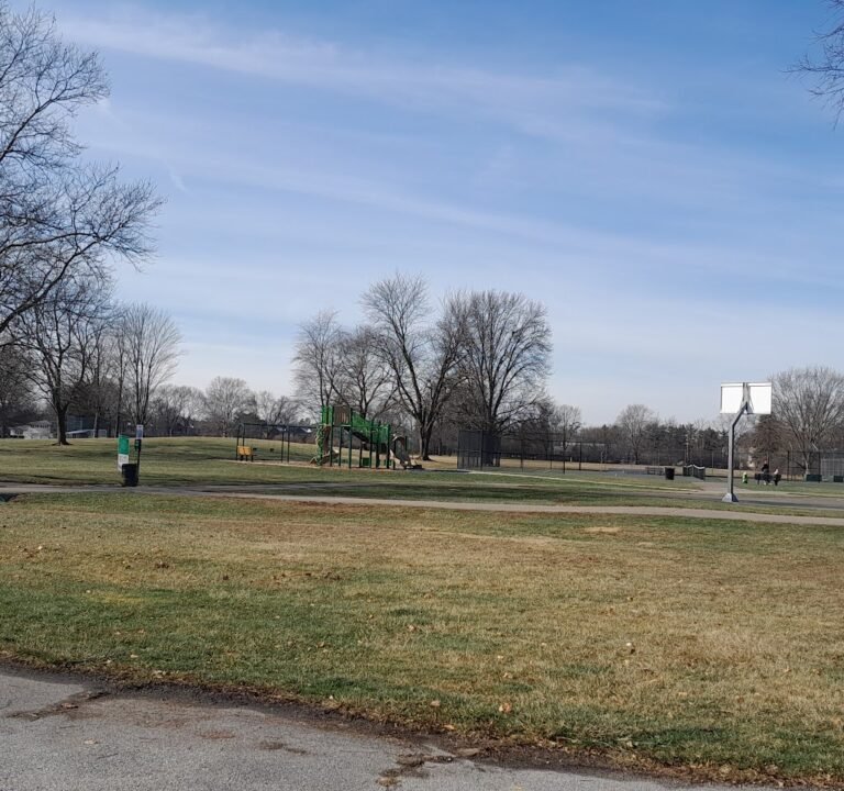 Soccer Field image 2