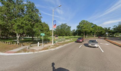 Soccer Field image 1