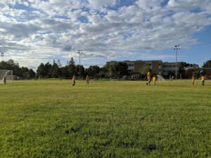 Soccer Field image 1