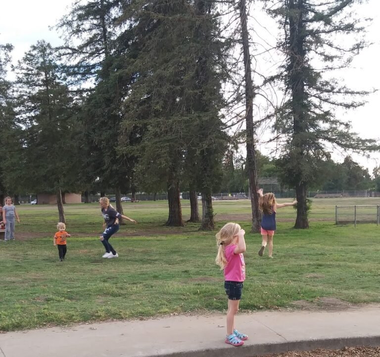 Soccer Field image 2