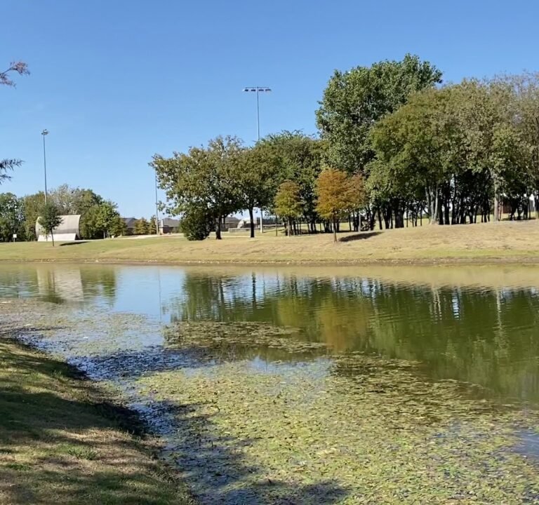 Soccer Field image 3