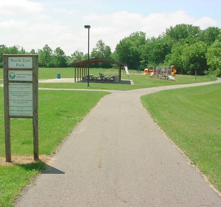 Soccer Field image 2