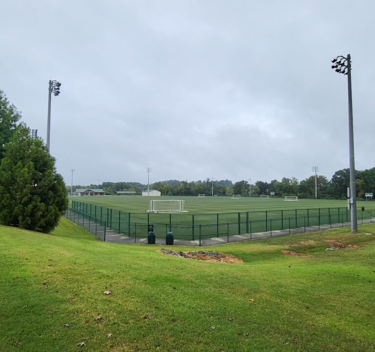 Soccer Field image 2