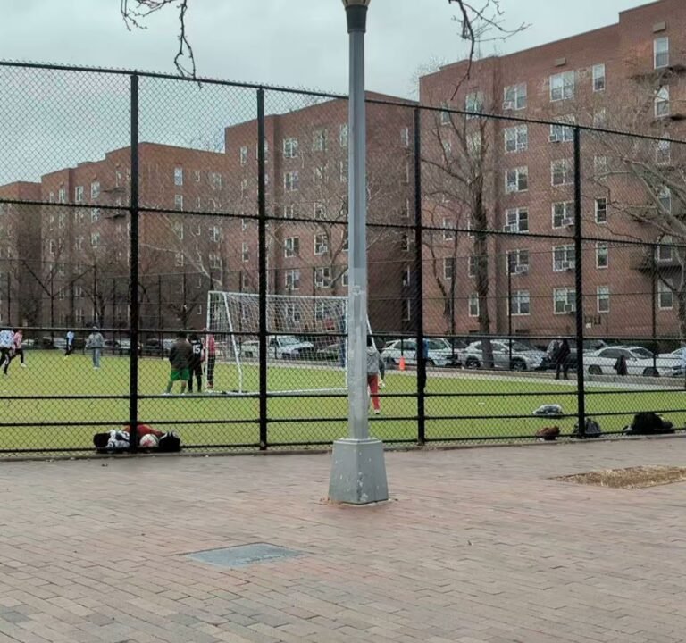 Soccer Field image 3