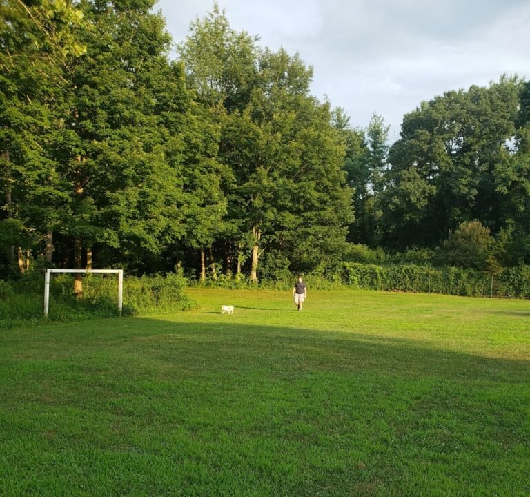 Soccer Field image 2