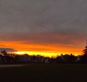 Soccer Field image 3