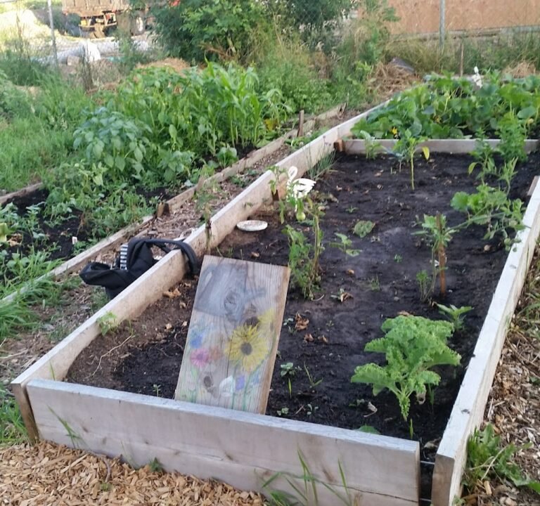 Soccer Field image 2