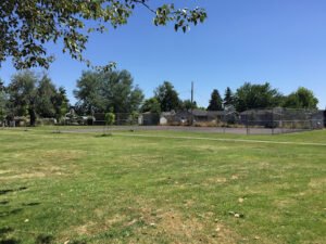 Soccer Field image 1
