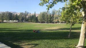 Soccer Field image 1