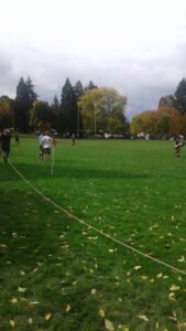 Soccer Field image 1