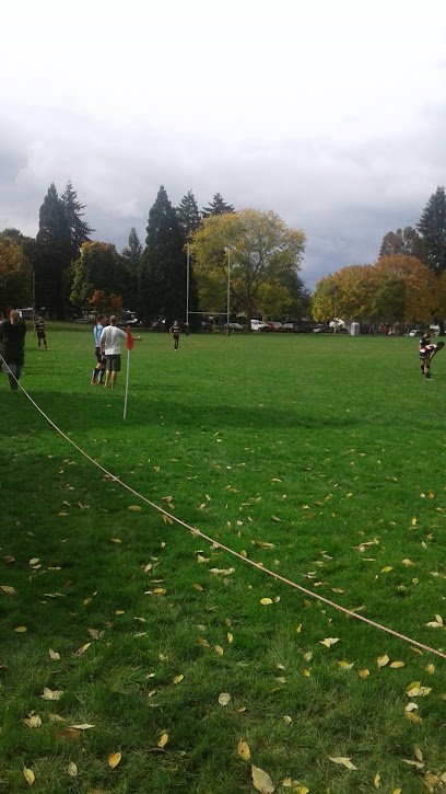 Soccer Field image 1