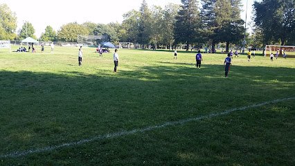 Soccer Field image 1
