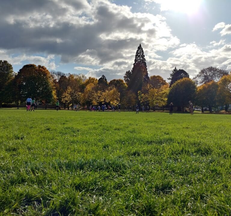 Soccer Field image 2