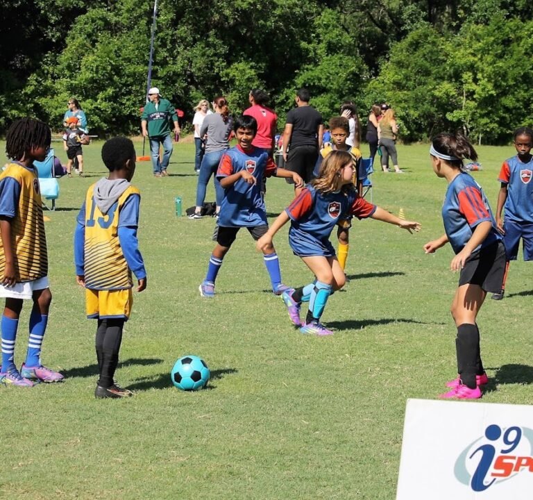 Soccer Field image 3