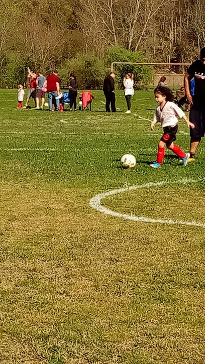 Soccer Field image 1