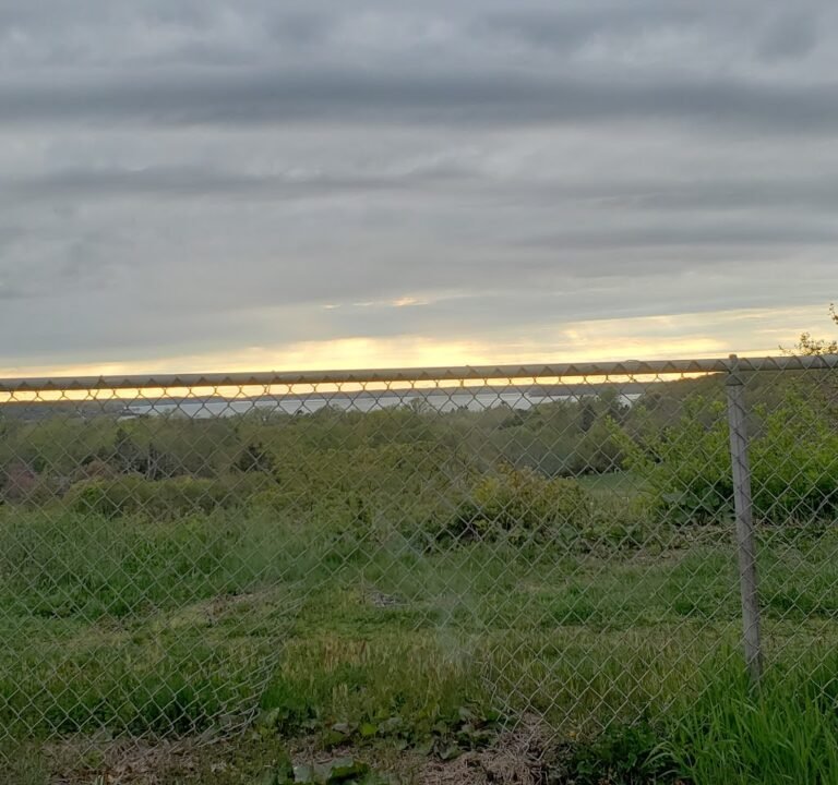 Soccer Field image 2