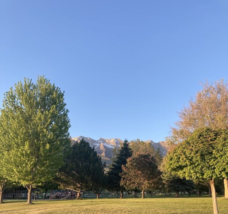 Soccer Field image 2